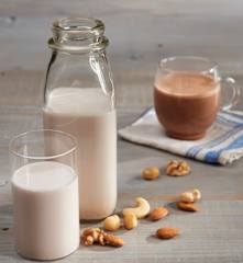 Nut Milk (TM6 Metric)