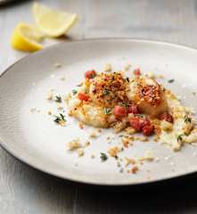 Scallops with Parsnip Purée and Pancetta Crumbs