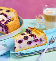 Blaubeer-Cheesecake