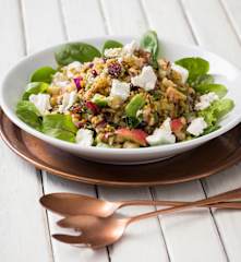Apple and cranberry farro salad