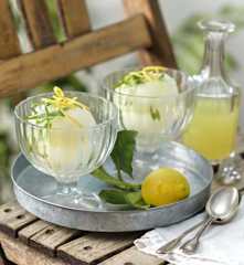 Limoncello Sorbet mit Minze und Basilikum
