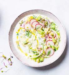 Crema fría de pepino (Okroshka)