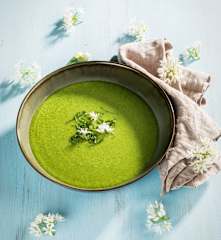 Bärlauchcremesuppe