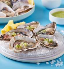 Oysters with Lime Granita