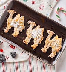 Cammelli della Befana