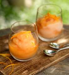 Frozen Negroni