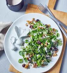 Feldsalat mit Joghurt-Blutorangen-Dressing