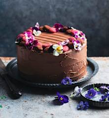 Schokoladen-Fudge-Kuchen