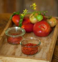 Concentrado de tomate