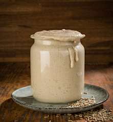 Starter Sourdough