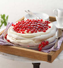 Ribisel-Pavlova