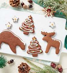 Chocolate Gingerbread Cookies