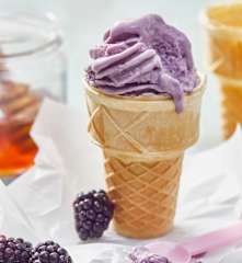 Brombeer-Tannenhonig-Softeis