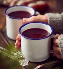 Vánoční punč z lesních plodů