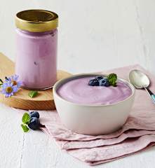 Yogurt ai mirtilli (TM6)