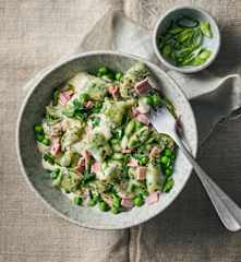 Spinat-Gnocchi mit Schinken-Sahne-Sauce