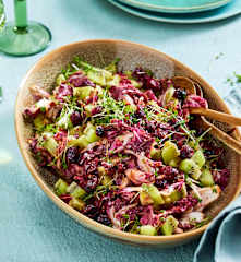 Radicchio-Salat mit Kiwi und Cranberrys