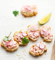Tartinade aux deux saumons et citron vert