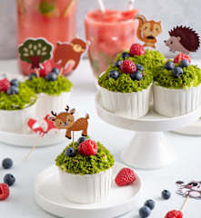 Babeczki leśny mech