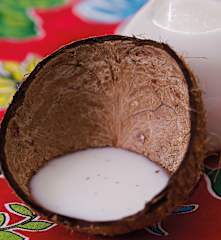 Leite de coco