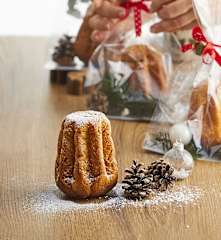 Mini Pandorini (TM6)