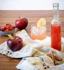 Apple and spice shrub
