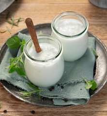 Yogur de leche de cabra TM6