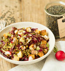 Lauwarmer Le Puy-Linsensalat mit Räuchertofu