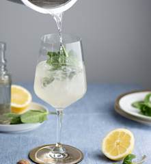 雨果鸡尾酒