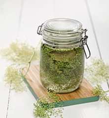 Falešné kapary z poupat bezinek