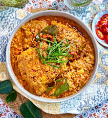 Nyonya Chicken Rendang