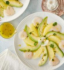 Carpaccio de saint-jacques à la coriandre et huile d'avocat