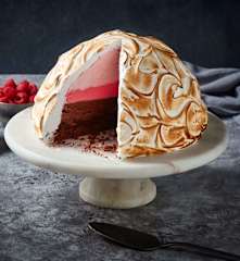 Baked Alaska with Ice Cream and Chocolate Cake