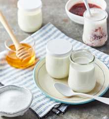 原味優格(自然發酵)