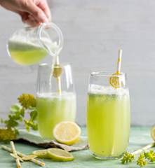 Drink med citrus og mynte