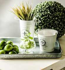 Nieve de nopal con limón